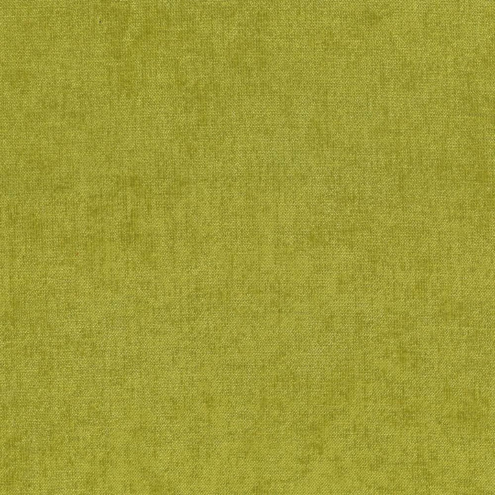Vestige Basil by Kasmir Designer Fabric See sample 100% Polyester
 CHINA 30,000 Wyzenbeek Double Rubs </p><p>Repeat: Horizontal: N/A and Vertical: N/A 55 - Swanky Fabrics -