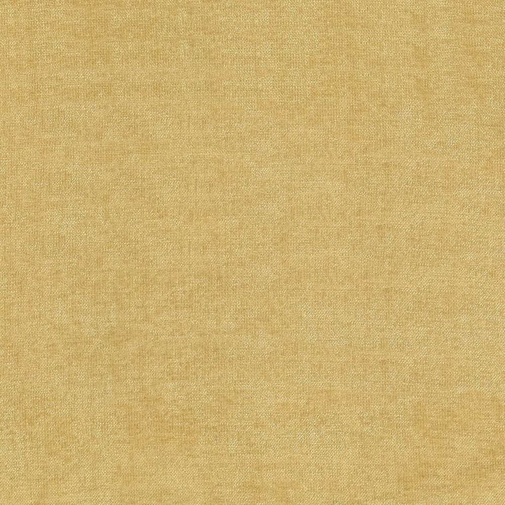 Vestige Honey by Kasmir Designer Fabric 5051 100% Polyester
 CHINA 30,000 Wyzenbeek Double Rubs </p><p>Repeat: Horizontal: N/A and Vertical: N/A 55 - Swanky Fabrics -