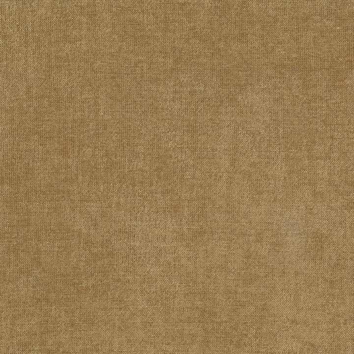 Vestige Latte by Kasmir Designer Fabric See sample 100% Polyester
 CHINA 30,000 Wyzenbeek Double Rubs </p><p>Repeat: Horizontal: N/A and Vertical: N/A 55 - Swanky Fabrics -