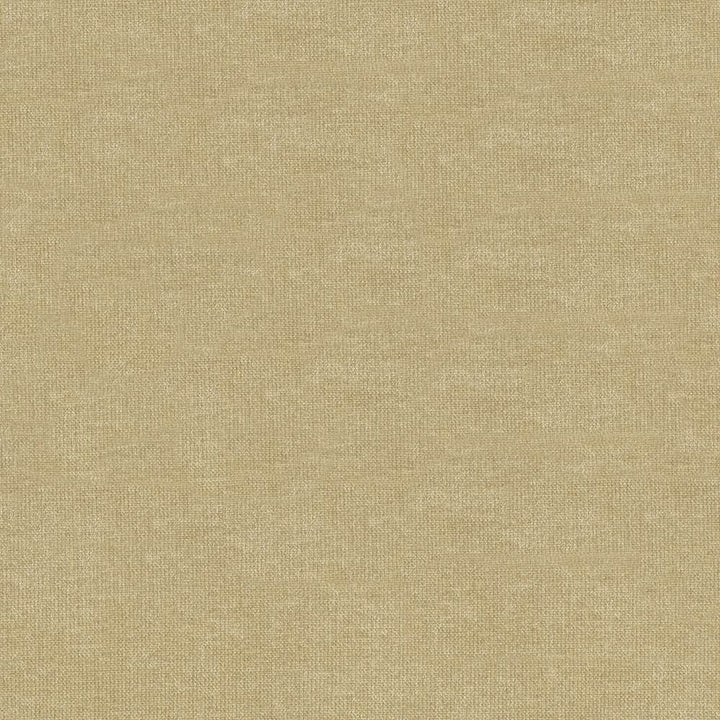 Vestige Pumice by Kasmir Designer Fabric 5051 100% Polyester
 CHINA 30,000 Wyzenbeek Double Rubs </p><p>Repeat: Horizontal: N/A and Vertical: N/A 55 - Swanky Fabrics -
