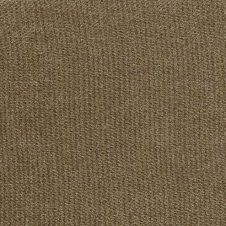 Vestige Truffle by Kasmir Designer Fabric 5051 100% Polyester
 CHINA 30,000 Wyzenbeek Double Rubs </p><p>Repeat: Horizontal: N/A and Vertical: N/A 55 - Swanky Fabrics -