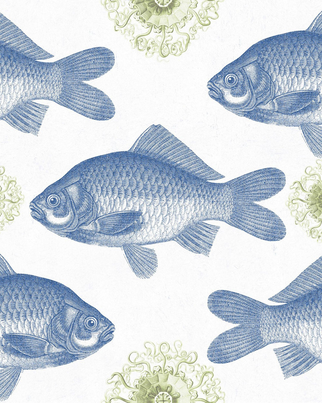 Fish Blue wallpaper by Mind the Gap (WP20009), swatch
