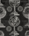Mind the Gap Wallpaper Mind The Gap   ARMILLARY Anthracite Premium   (WP20030)