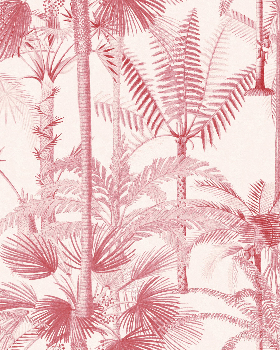Palmera Cubana Pink wallpaper by Mind the Gap (WP20497), swatch
