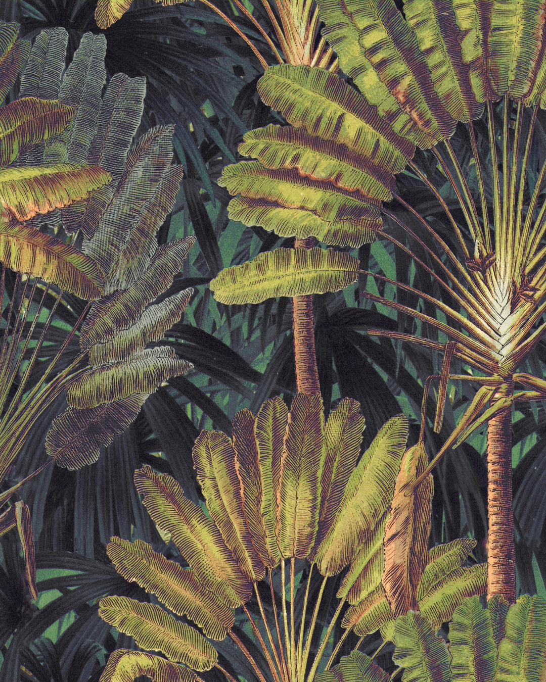 Traveller's Palm Sunset wallpaper by Mind the Gap (WP20526), swatch