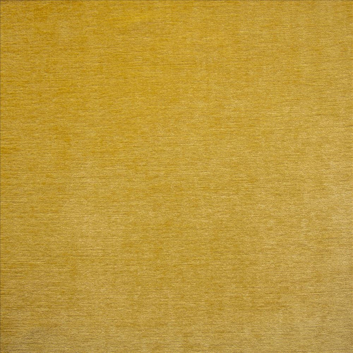 Watson Citronella by Kasmir Designer Fabric 1468 100% Polyester
 INDIA 30,000 Wyzenbeek Double Rubs </p><p>Repeat: Horizontal: N/A and Vertical: N/A 54 - Swanky Fabrics -