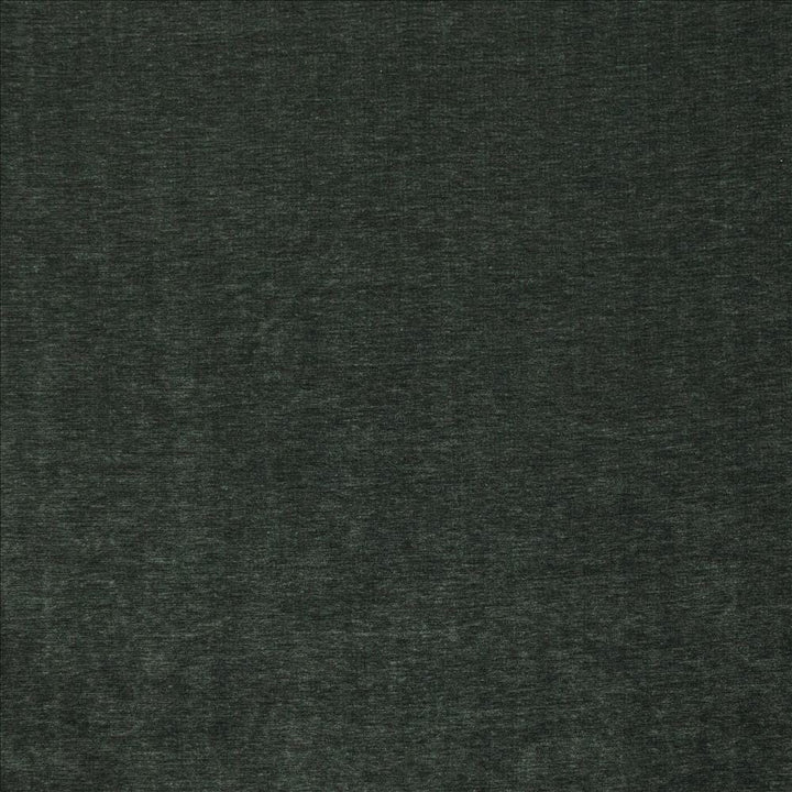 Watson Quartz by Kasmir Designer Fabric 1466 100% Polyester
 INDIA 30,000 Wyzenbeek Double Rubs </p><p>Repeat: Horizontal: N/A and Vertical: N/A 54 - Swanky Fabrics -
