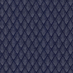 Kasmir Fabric Winamac Navy