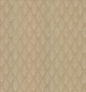 Kasmir Fabric Winamac Oatmeal