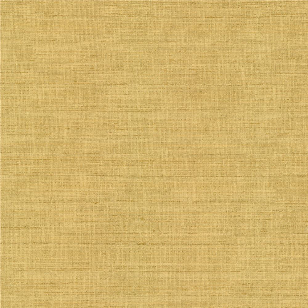 With A View Camel by Kasmir Designer Fabric 5170 63% Polyester
37% Cotton
 INDIA 50,000 Wyzenbeek Double Rubs </p><p>Repeat: Horizontal: N/A and Vertical: N/A 54 - Swanky Fabrics -