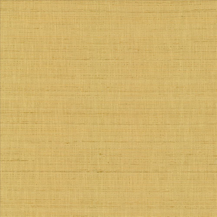 With A View Camel by Kasmir Designer Fabric 5170 63% Polyester
37% Cotton
 INDIA 50,000 Wyzenbeek Double Rubs </p><p>Repeat: Horizontal: N/A and Vertical: N/A 54 - Swanky Fabrics -