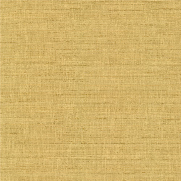 With A View Camel  by Kasmir Designer Fabric 5170 63% Polyester
37% Cotton
 INDIA 50,000 Wyzenbeek Double Rubs Horizontal: N/A and Vertical: N/A 54  - Swanky Fabrics -