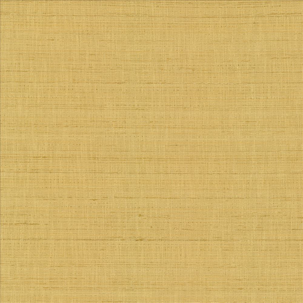With A View Camel by Kasmir Designer Fabric See sample 63% Polyester
37% Cotton
 INDIA 50,000 Wyzenbeek Double Rubs </p><p>Repeat: Horizontal: N/A and Vertical: N/A 54 - Swanky Fabrics -