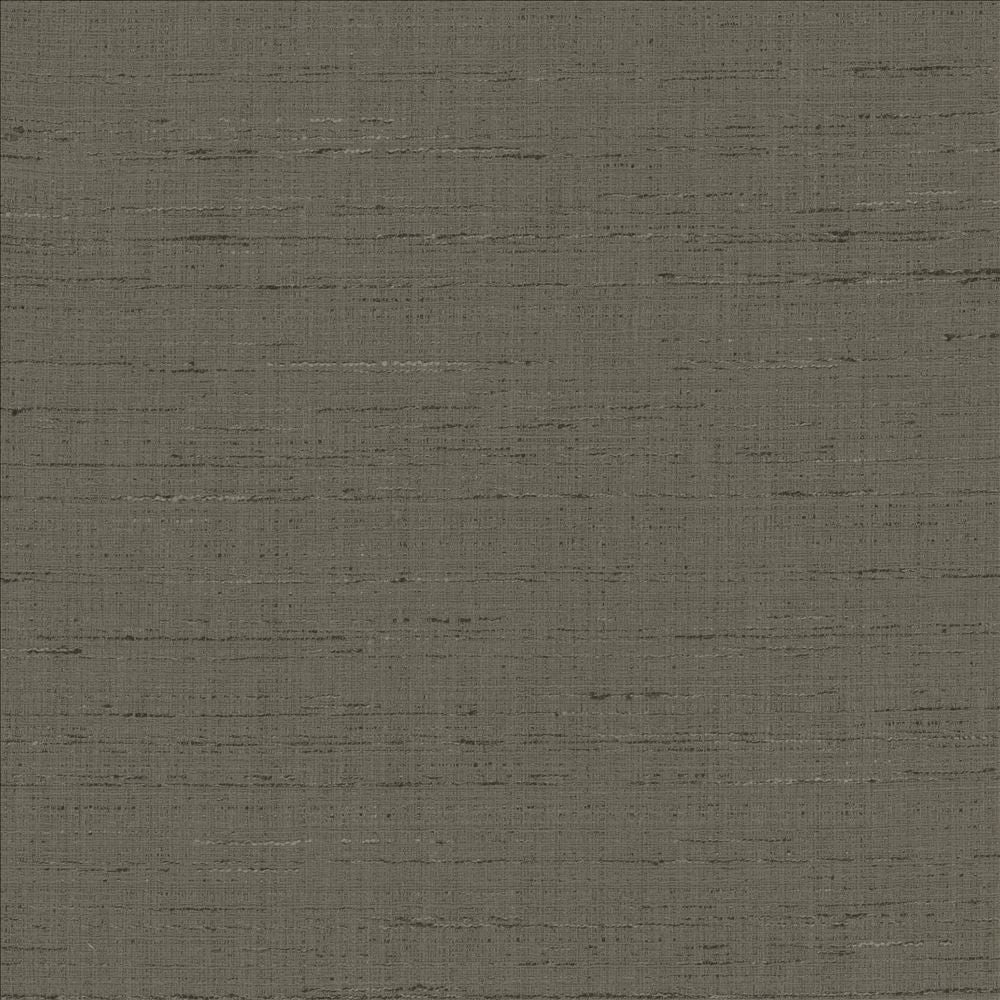 With A View Charcoal by Kasmir Designer Fabric 5170 63% Polyester
37% Cotton
 INDIA 50,000 Wyzenbeek Double Rubs </p><p>Repeat: Horizontal: N/A and Vertical: N/A 54 - Swanky Fabrics -