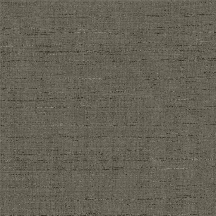 With A View Charcoal by Kasmir Designer Fabric 5170 63% Polyester
37% Cotton
 INDIA 50,000 Wyzenbeek Double Rubs </p><p>Repeat: Horizontal: N/A and Vertical: N/A 54 - Swanky Fabrics -
