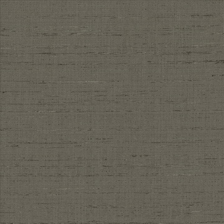 With A View Charcoal by Kasmir Designer Fabric 5170 63% Polyester
37% Cotton
 INDIA </p><p>Repeat: Horizontal: N/A and Vertical: N/A 54 - Swanky Fabrics -