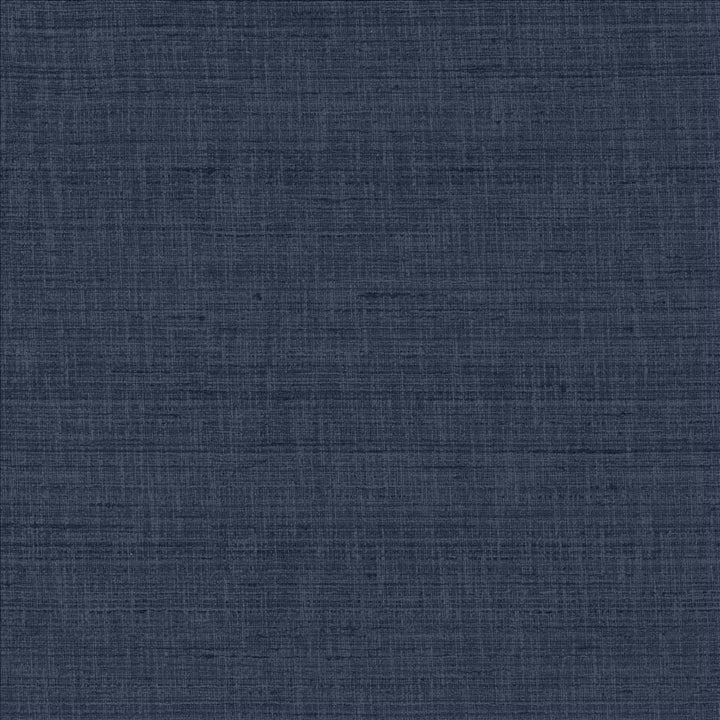 With A View Indigo by Kasmir Designer Fabric 5170 63% Polyester
37% Cotton
 INDIA 50,000 Wyzenbeek Double Rubs </p><p>Repeat: Horizontal: N/A and Vertical: N/A 54 - Swanky Fabrics -