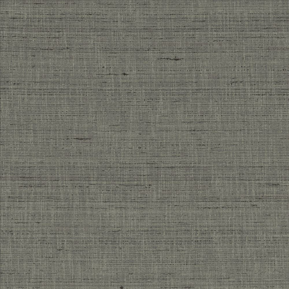 With A View Pewter by Kasmir Designer Fabric 5170 63% Polyester
37% Cotton
 INDIA 50,000 Wyzenbeek Double Rubs </p><p>Repeat: Horizontal: N/A and Vertical: N/A 54 - Swanky Fabrics -