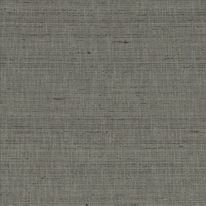 With A View Pewter by Kasmir Designer Fabric 5170 63% Polyester
37% Cotton
 INDIA 50,000 Wyzenbeek Double Rubs </p><p>Repeat: Horizontal: N/A and Vertical: N/A 54 - Swanky Fabrics -