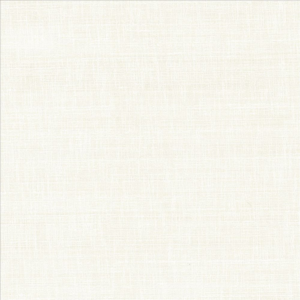 With A View Snow by Kasmir Designer Fabric 5170 63% Polyester
37% Cotton
 INDIA 50,000 Wyzenbeek Double Rubs </p><p>Repeat: Horizontal: N/A and Vertical: N/A 54 - Swanky Fabrics -