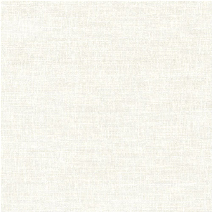 With A View Snow by Kasmir Designer Fabric 5170 63% Polyester
37% Cotton
 INDIA 50,000 Wyzenbeek Double Rubs </p><p>Repeat: Horizontal: N/A and Vertical: N/A 54 - Swanky Fabrics -