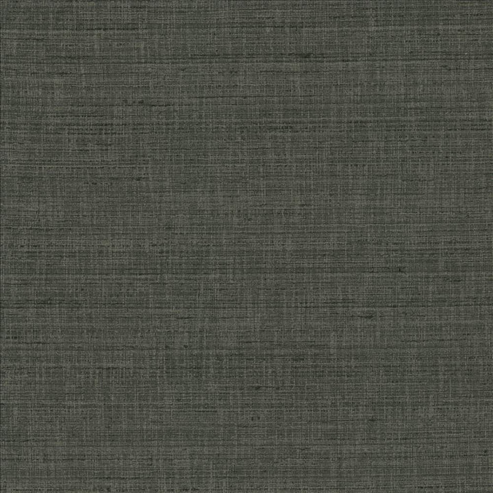 With A View Stone by Kasmir Designer Fabric 5170 63% Polyester
37% Cotton
 INDIA 50,000 Wyzenbeek Double Rubs </p><p>Repeat: Horizontal: N/A and Vertical: N/A 54 - Swanky Fabrics -