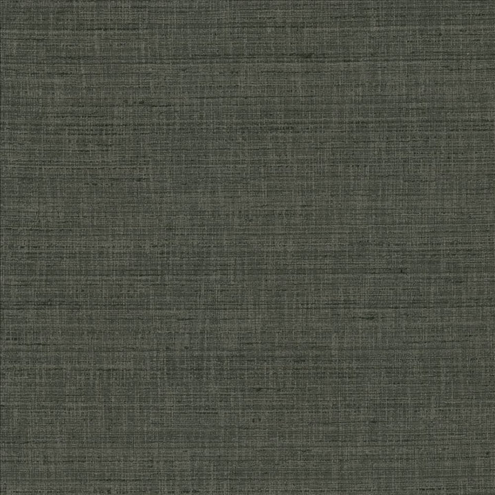 With A View Stone by Kasmir Designer Fabric 5170 63% Polyester
37% Cotton
 INDIA </p><p>Repeat: Horizontal: N/A and Vertical: N/A 54 - Swanky Fabrics -