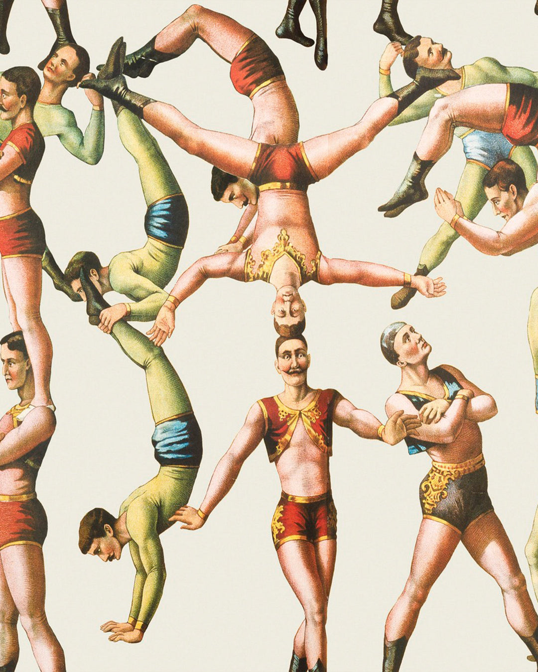 The Acrobats wallpaper by Mind the Gap (WP20005), swatch