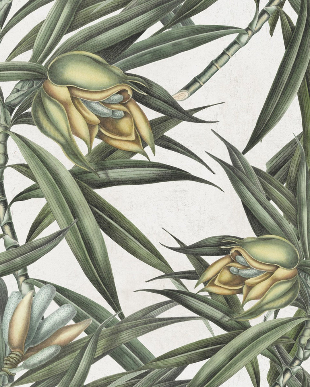 Exotic Fruit II wallpaper by Mind the Gap (WP20098), swatch