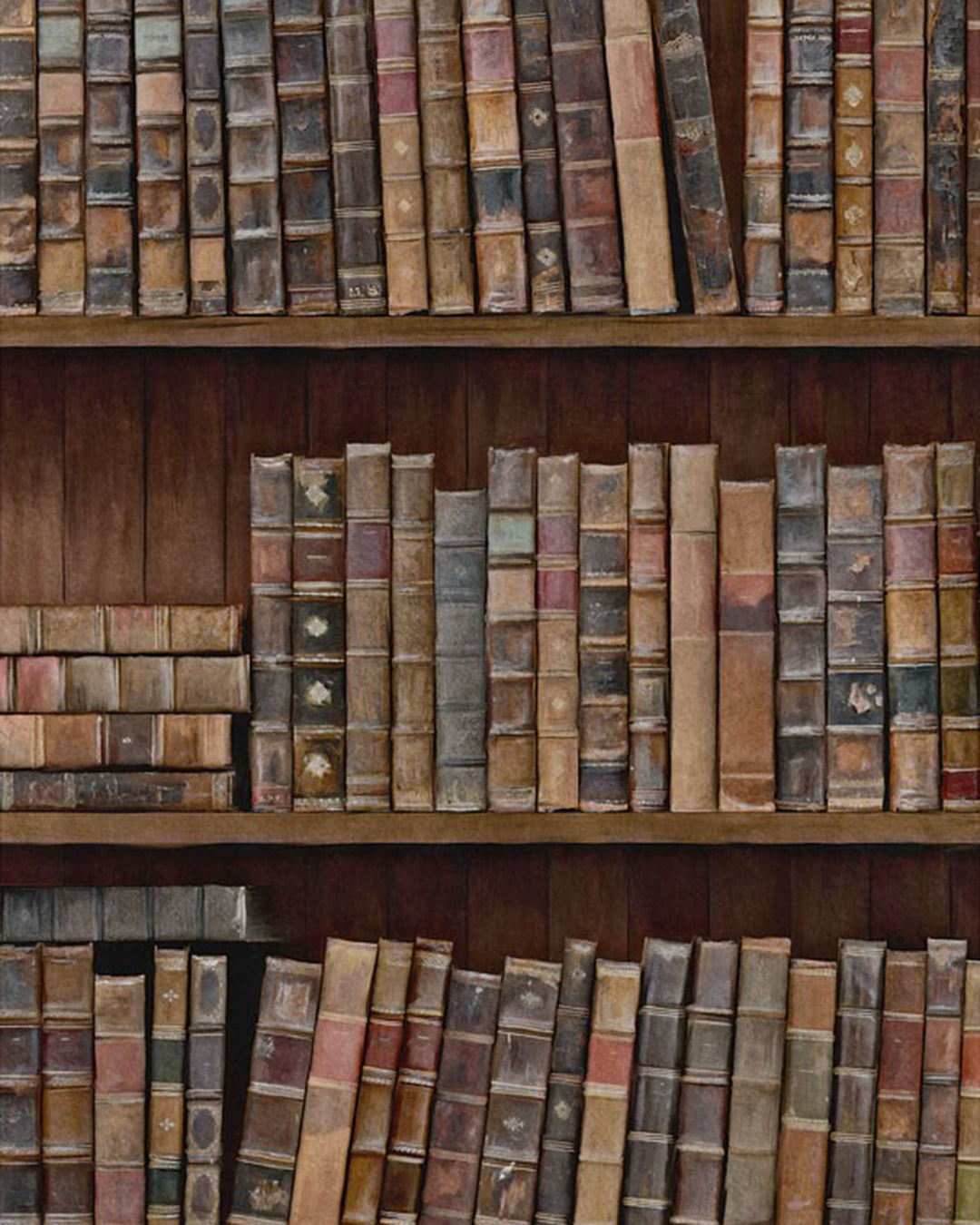 Book Shelves Premium wallpaper by Mind the Gap (WP20112), swatch