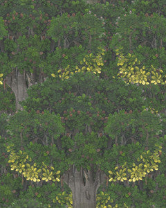 Mind the Gap Wallpaper Mind The Gap   SAVAGE LEAVES   (WP20466)