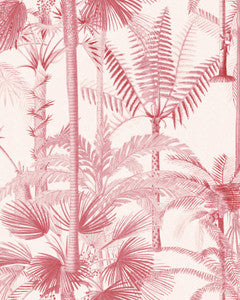 Mind the Gap Wallpaper Mind The Gap   PALMERA CUBANA Pink   (WP20497)