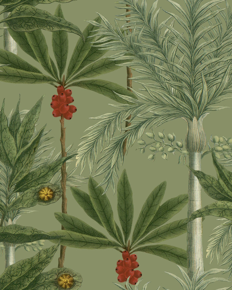 Madagascar Wallpaper by Mind the Gap Designer Wallpaper THE WALLPAPER COMPENDIUM 1 Textured Matte Made in Europe Paste the wall 3 rolls x 20.5 x 3.25 yards - Swanky Fabrics -