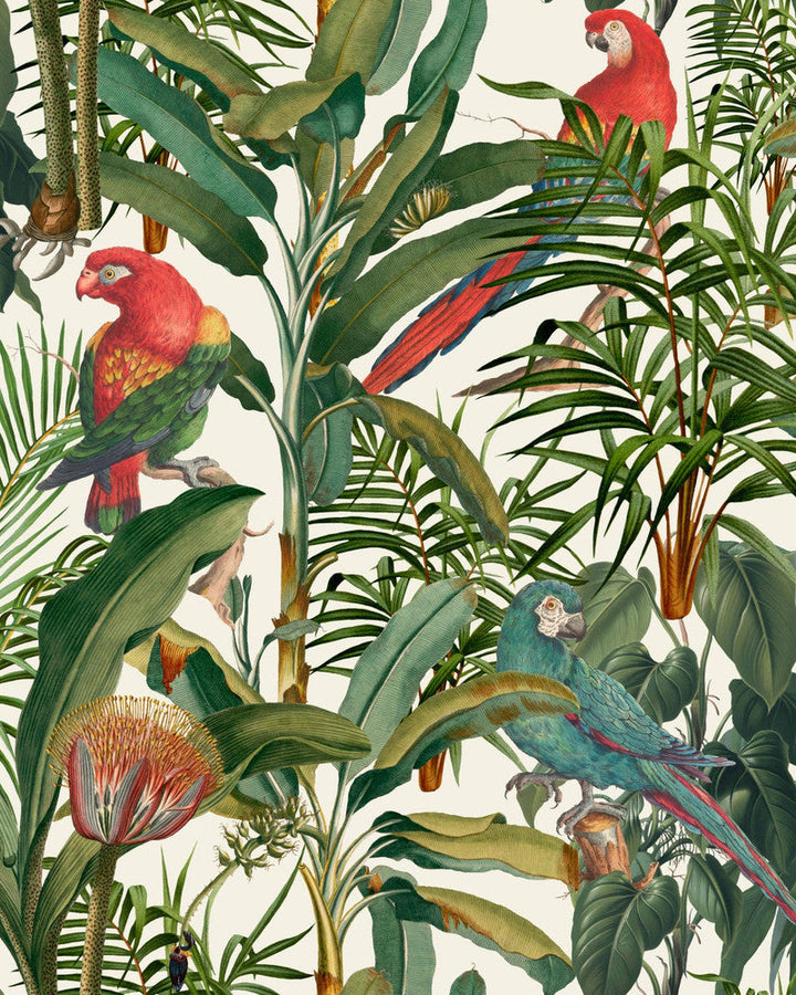 Parrots Of Brasil Wallpaper by Mind the Gap Designer Wallpaper THE WALLPAPER COMPENDIUM 1 Textured Matte Made in Europe Paste the wall 3 rolls x 20.5 x 3.25 yards - Swanky Fabrics -