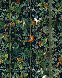 Mind the Gap Wallpaper Mind The Gap   WILDLIFE OF PAPUA Dark   (WP20527)