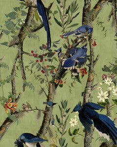 Mind the Gap Wallpaper Mind The Gap   BIRDS OF DANUBE   (WP20715)
