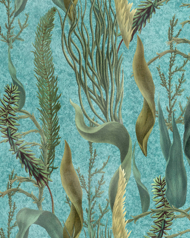 Aquatic Plants Aquamarine wallpaper by Mind the Gap (WP20716), swatch