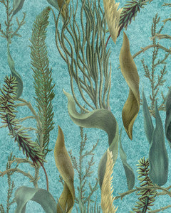Mind the Gap Wallpaper Mind The Gap   AQUATIC PLANTS Aquamarine   (WP20716)