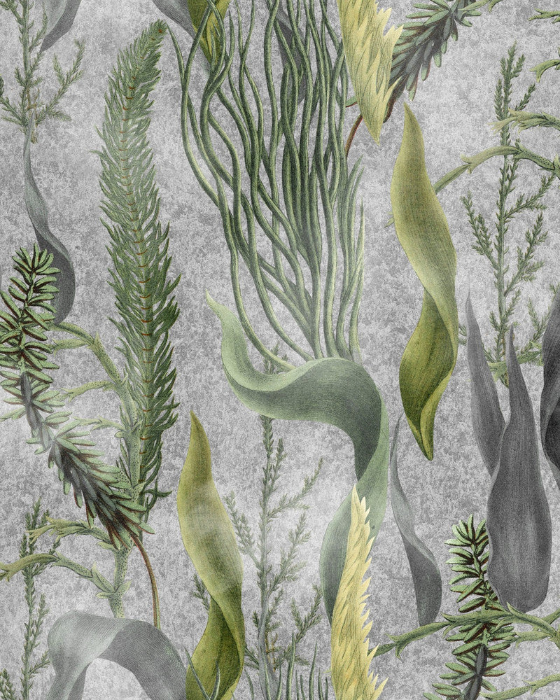 Mind The Gap Wallpaper AQUATIC PLANTS Grey Wallpaper (WP20718) | WP20718 | THE WETLANDS | 1 roll x 20.47 x 354.33 in | 0.52m / 20.5in | 9m / 354in | 4.68mp | 52cm / 20.5in | Cream, Green, Grey | Non-woven | Paste the wall | 1-roll in a box | Fabric Carolina | https://www.fabriccarolina.com/