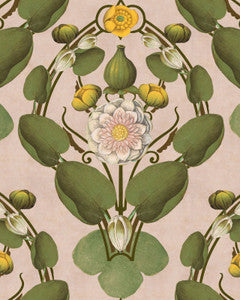 Mind the Gap Wallpaper Mind The Gap   NYMPHAEA Light Pink   (WP20726)