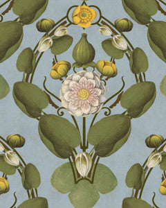 Mind the Gap Wallpaper Mind The Gap   NYMPHAEA Powder Blue   (WP20727)