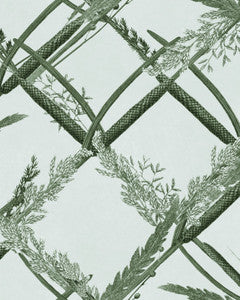 Mind the Gap Wallpaper Mind The Gap   ORNAMENTAL REED Greenlake   (WP30162)