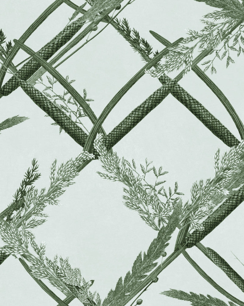 Ornamental Reed Greenlake Wallpaper by Mind the Gap Designer Wallpaper THE WETLANDS Non-woven Made in Europe Paste the wall 1 roll x 20.5x10.9 yards - Swanky Fabrics -
