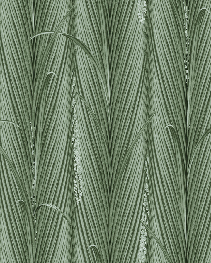 DANUBE FOLIAGE Absinthe Wallpaper (WP30216) by Mind The Gap | WP30216 | THE WETLANDS | 1 roll x 52 x 1000 cm / 20.5x393.7 in | 0.52m / 20.5in | 10m / 393.7in | 5.20sqm / 55.9sq ft | 60cm / 23.6in | White, Green | Non-woven Satin | Paste the wall | 1 roll in a box | Fabric Carolina | https://www.fabriccarolina.com/