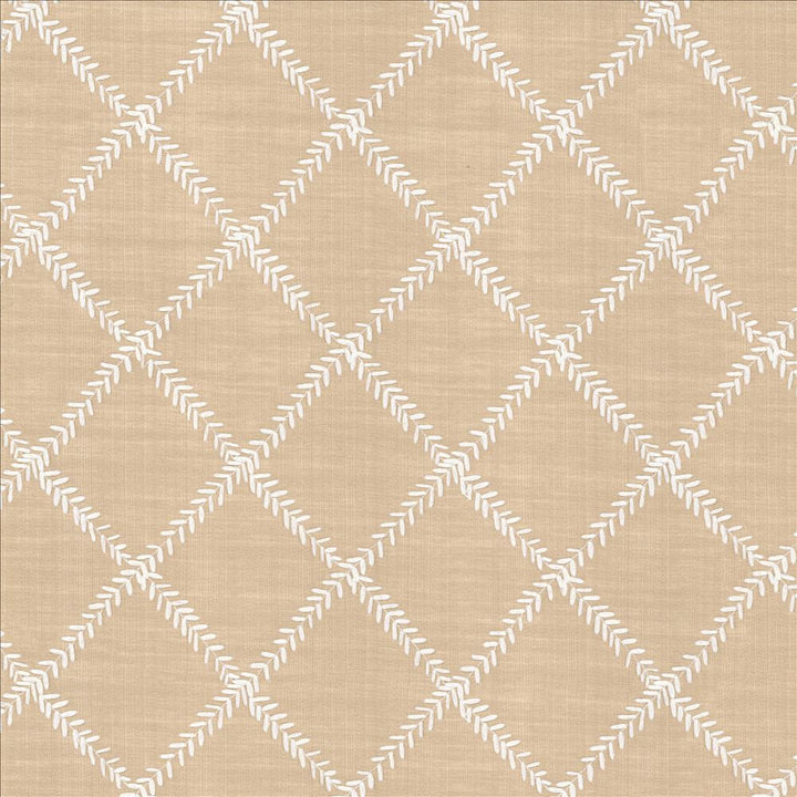 Zipper Trail Rose Quartz by Kasmir Designer Fabric 1449 67% Polyester
33% Cotton
 INDIA </p><p>Repeat: Horizontal: 4 6/8 inches and Vertical: 4 6/8 inches 53 - Swanky Fabrics -