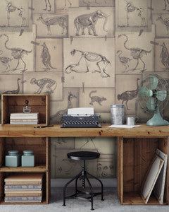 Mind the Gap Wallpaper Mind The Gap   ZOOARCHAEOLOGY   (WP20236)