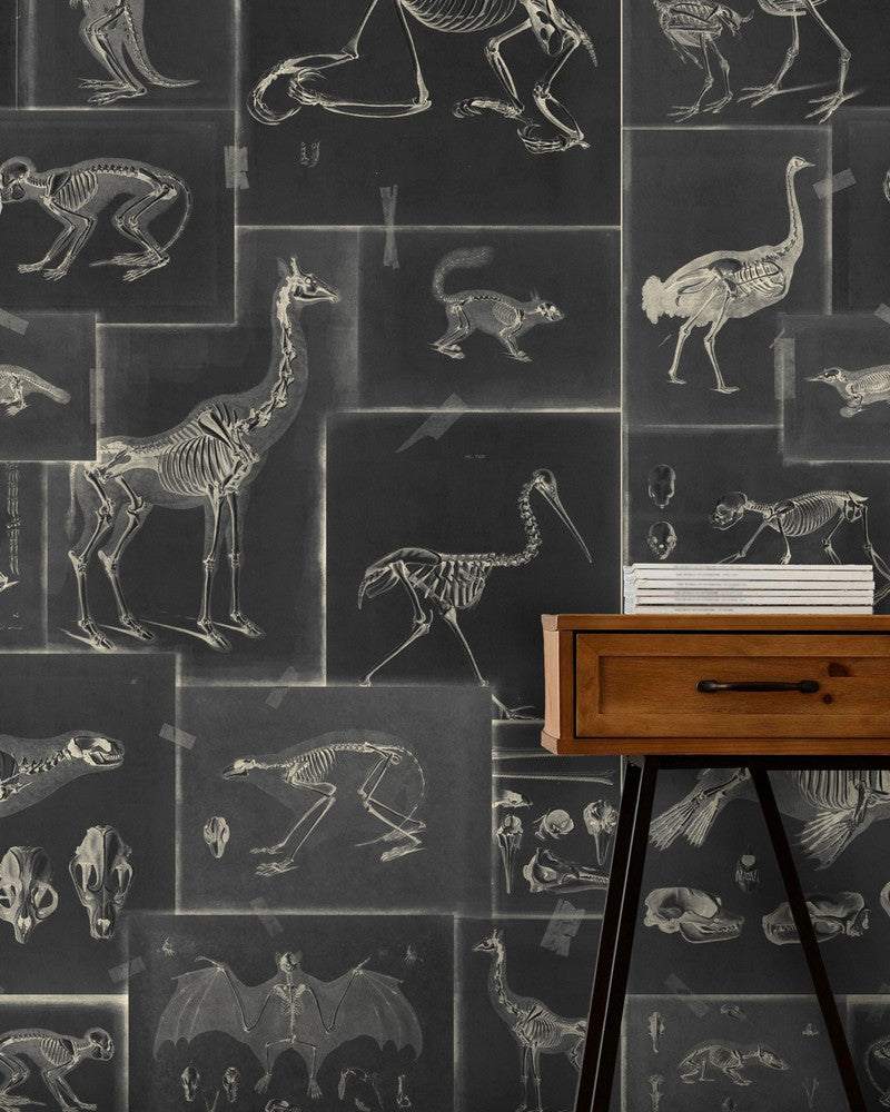 Zooarchaeology Anthracite Wallpaper by Mind the Gap Designer Wallpaper PREMIUM DESIGNER WALLPAPER COLLECTION Non-woven Made in Europe Paste the wall 3 rolls x 20.5 x 3.25 yards - Swanky Fabrics -